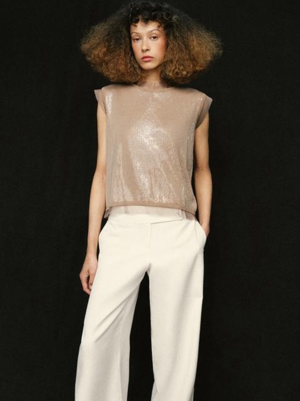 Zara Champagne Sequin Top